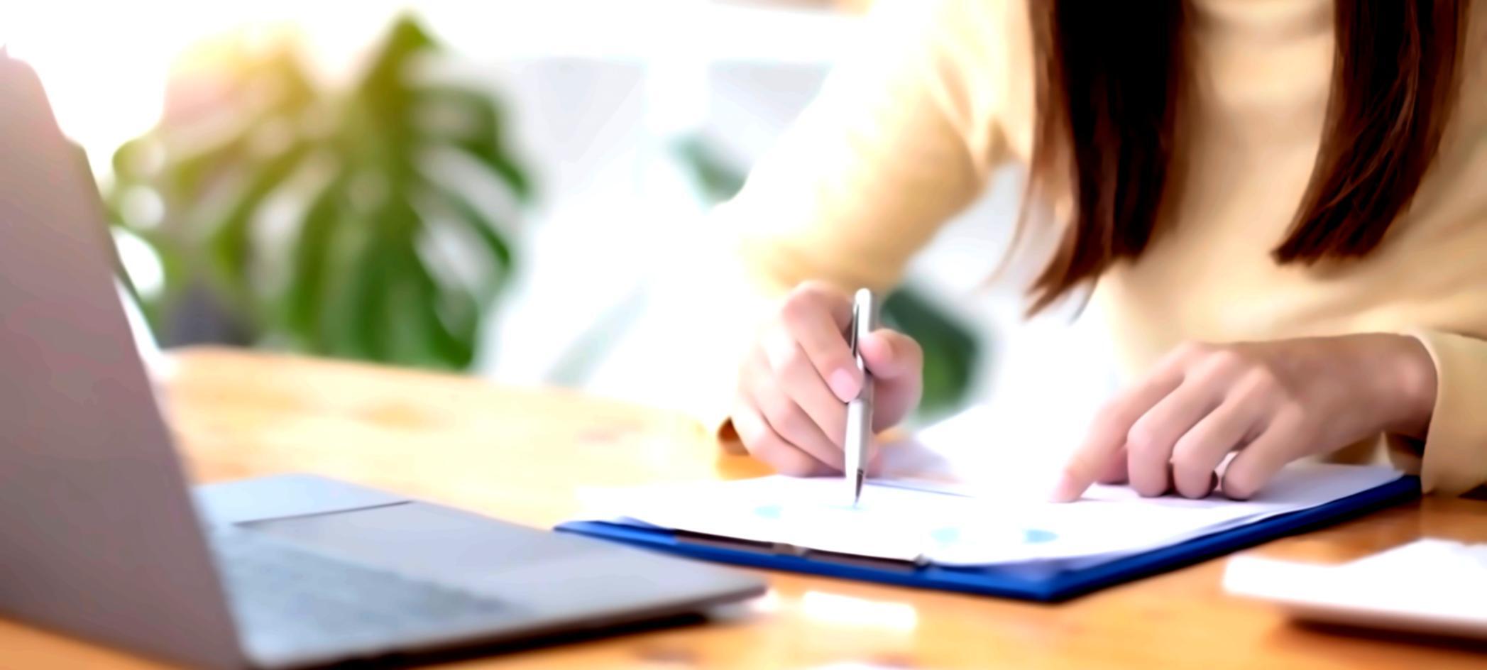 SEO mentorship session example